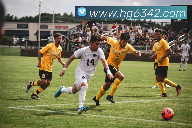奖项4